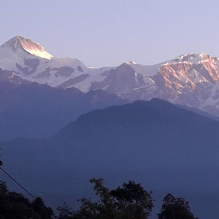 Himalayan Crown Lodge بوكْرا المظهر الخارجي الصورة