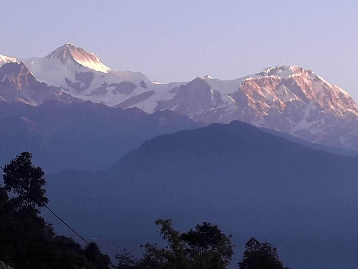 Himalayan Crown Lodge بوكْرا المظهر الخارجي الصورة