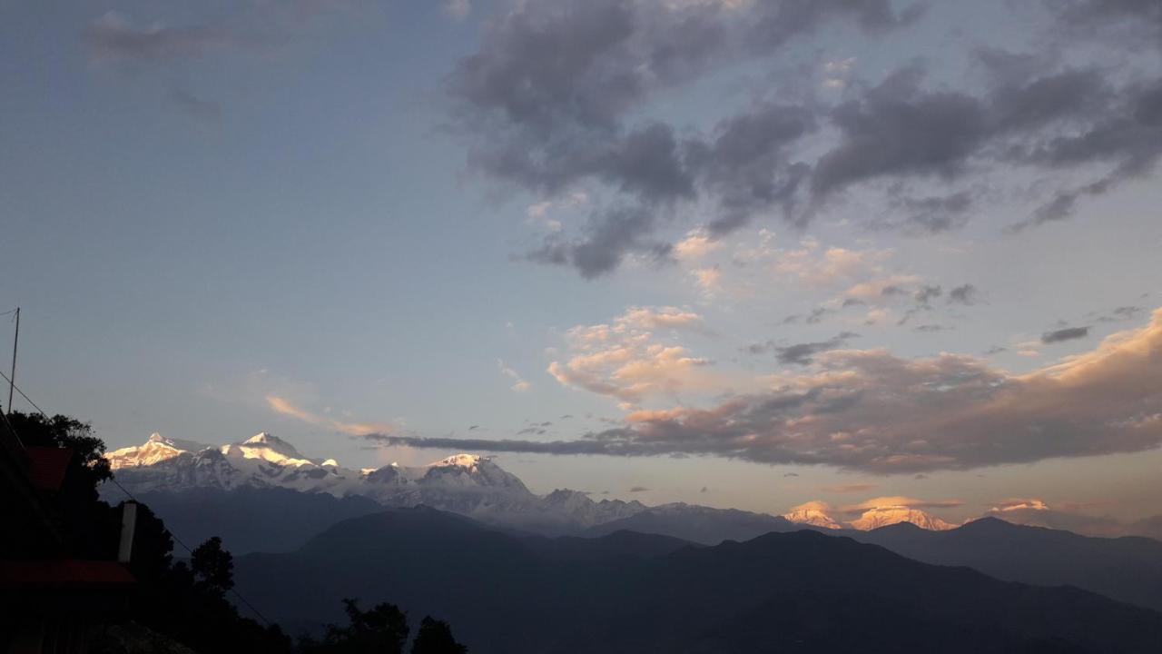 Himalayan Crown Lodge بوكْرا المظهر الخارجي الصورة